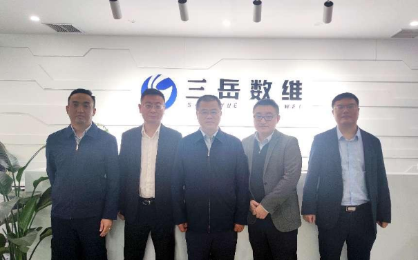 省工信廳領(lǐng)導(dǎo)帶隊蒞臨三岳數(shù)維調(diào)研指導(dǎo)